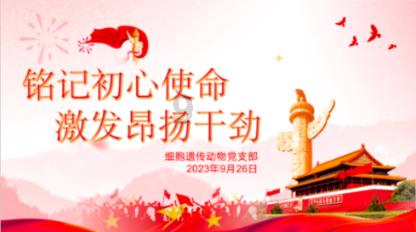 英文拼图
